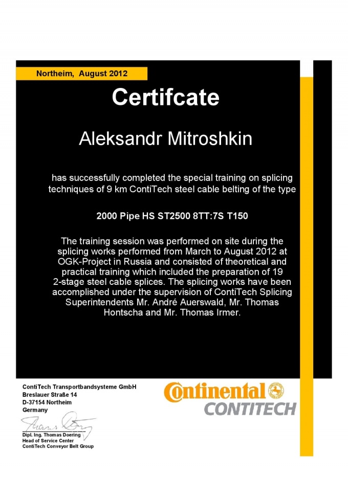 Сертификат (А.Митрошкин)